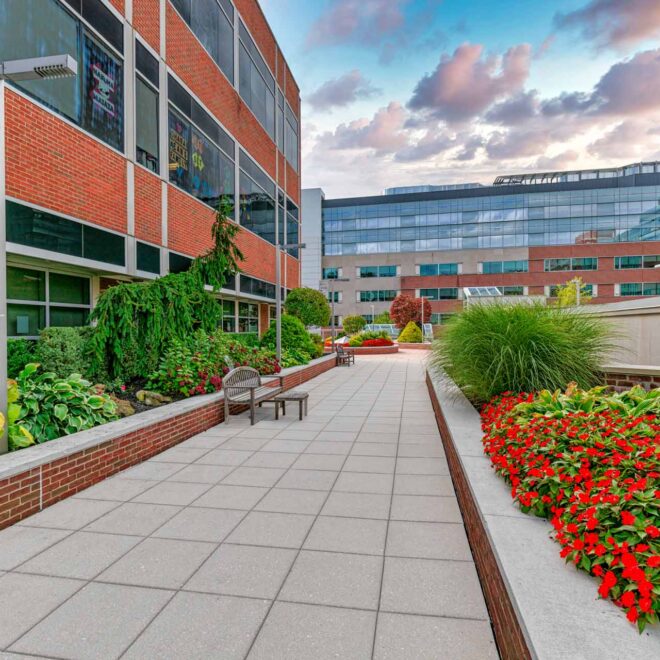 Thumbnail Gallery Image 19