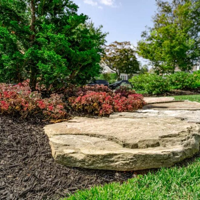 Thumbnail Gallery Image 28