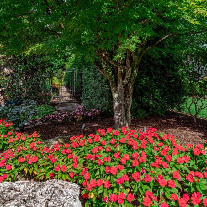 Thumbnail Gallery Image 8