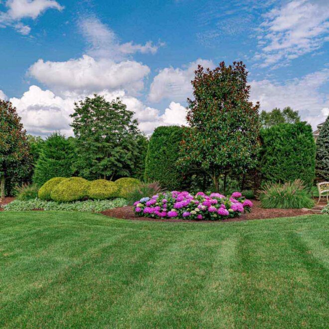 Thumbnail Gallery Image 10