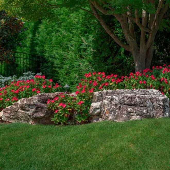 Thumbnail Gallery Image 29