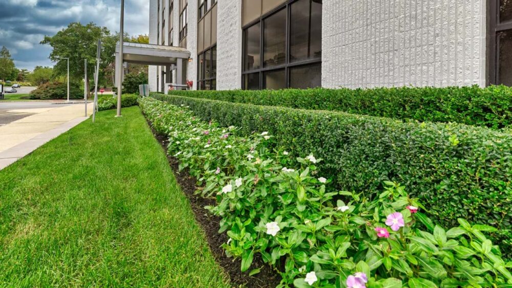 Seasonal Landscaping Refresh Services for Every Season | Seasonal Refresh | Total Concepts